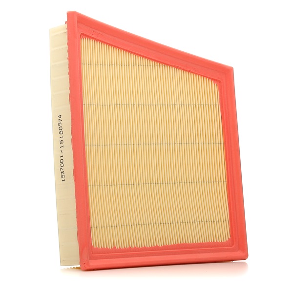 Koop 8A0866 Luchtfilters Met buitenluchtfilter van RIDEX LR092258 goedkope