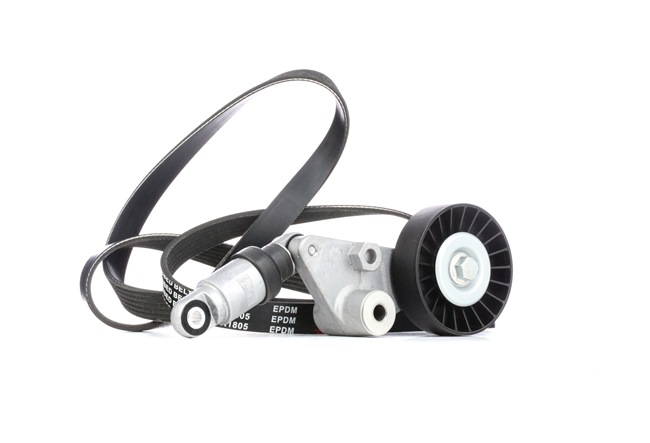 RIDEX 542R0283 Jogo de correias trapezoidais estriadas Opel Omega B Sedan 2.0 DTI 16V (F69, M69, P69) 101 cv X 20 DTH