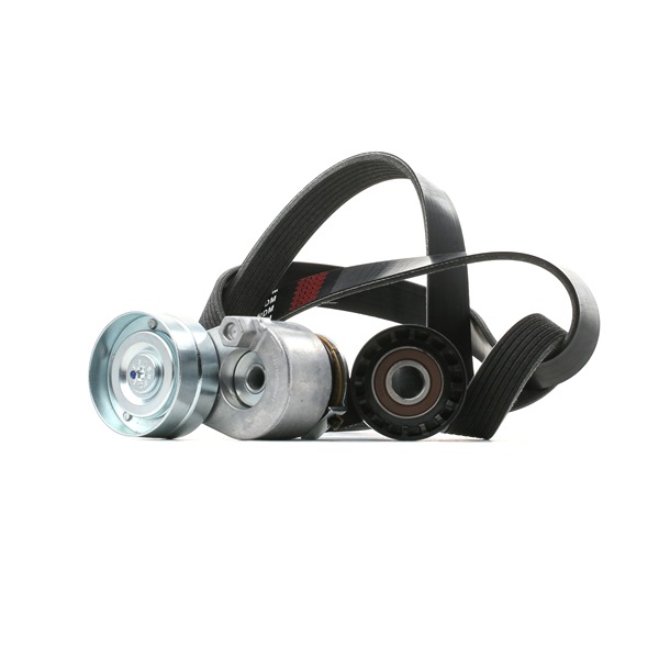 SSANGYONG STARK Correa poly V SKRBS-1200284
