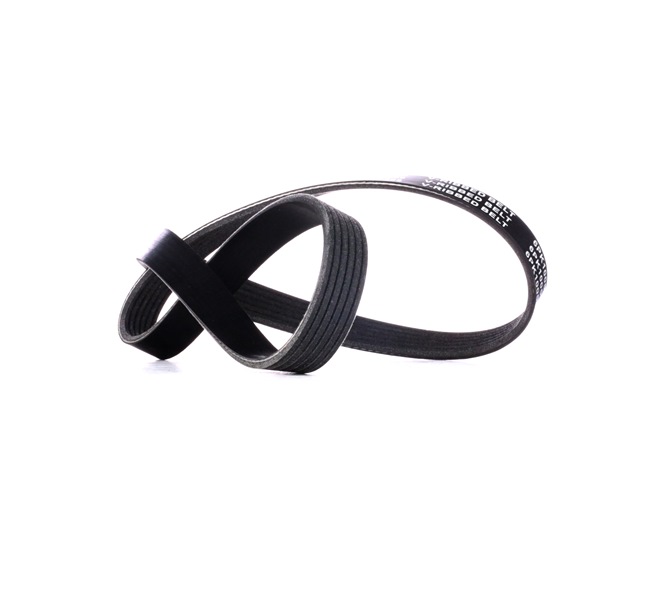 kupić tanie 305P0425 Pasek klinowy wielorowkowy 1005[mm], Liczba żeber: 6 od RIDEX