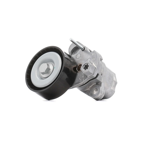 FORD RIDEX Tensor correa poli v 540T0032