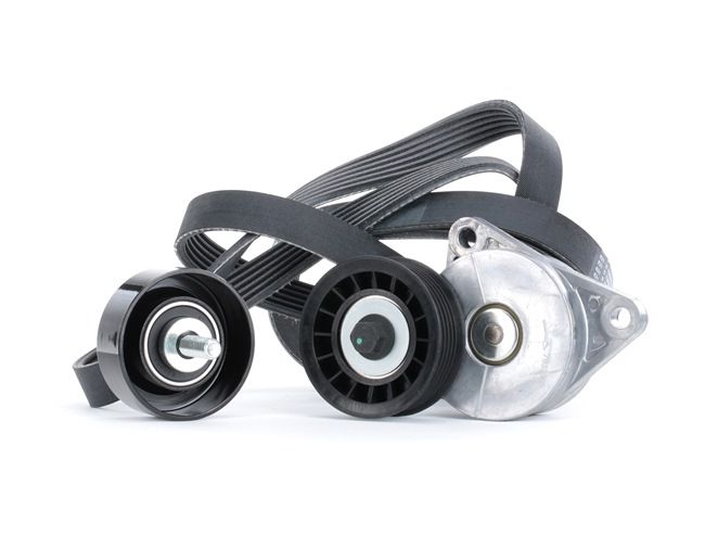 STARK SKRBS-1200374 Poly V-riem set Ford Transit Connect mk1 1.8 16V LPG 116 PK