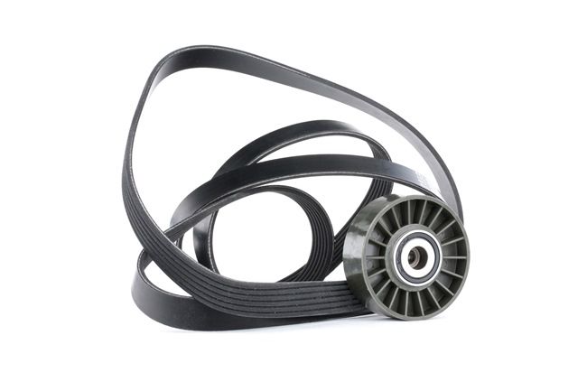 Comprar barato 542R0379 Kit de correa poly V de RIDEX 0089973392, 0089979292, 0109977092