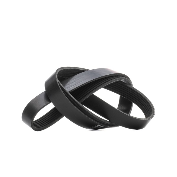 RIDEX 305P0431 Courroie Poly-V Nissan Pulsar c13 1.2 DIG-T 115 CH