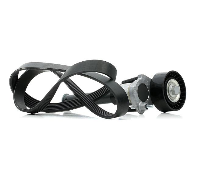 RIDEX 542R0390 Multiriem set VW Passat CC 1.8 TSI 152 Pk CGYA