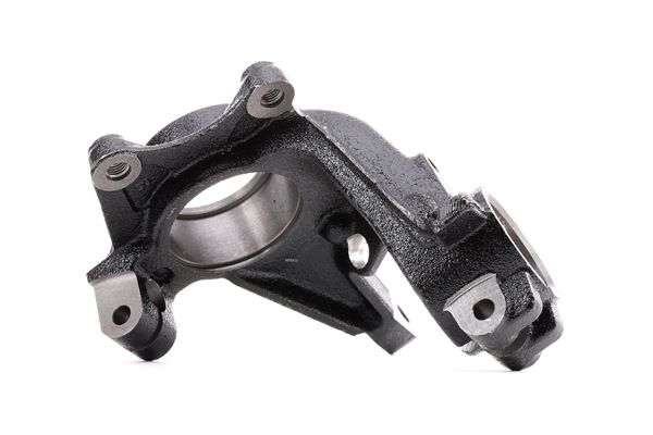 RIDEX Czop osi obudowa osi 1159S0051