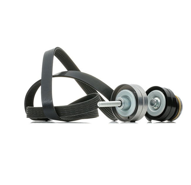 RIDEX 542R0449 Ribremsæt Golf 5 Variant 1.4 TSI 170 HK BLG