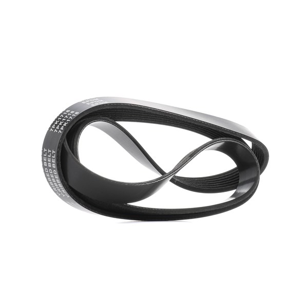 RIDEX 305P0454 Vezérlés szett 2.5 Td5 4x4 (L316) 122 LE 10 P