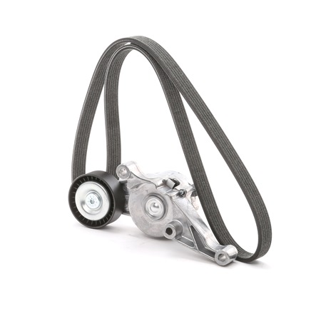 RIDEX 542R0499 Jogo de correias trapezoidais estriadas VW T5 Camião de plataforma 1.9 TDI 84 cv BRR