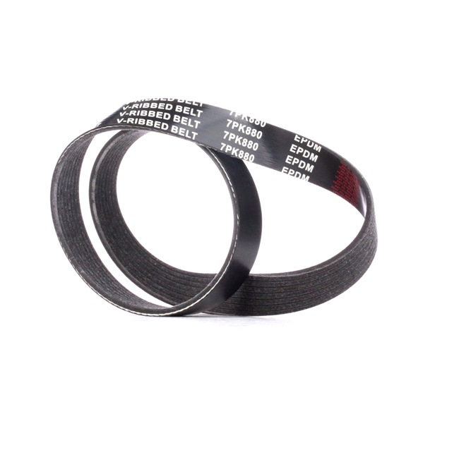 RIDEX 305P0456 Ιμάντας poly-V RENAULT Modus / Grand Modus (F, JP) 1.2 GPL (JP0R) 75 PS D4F 744