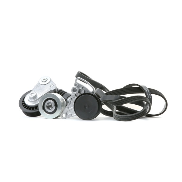 RIDEX 542R0505 Keilrippenriemensatz Passat B5 1.9 TDI 101 PS AVB