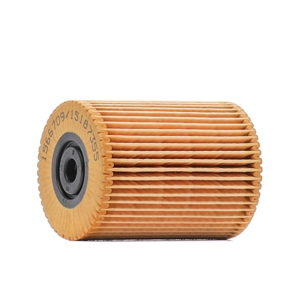 RIDEX 9F0303 Filtro de combustível Audi Q7 4L 4.2 FSI quattro 350 cv BAR