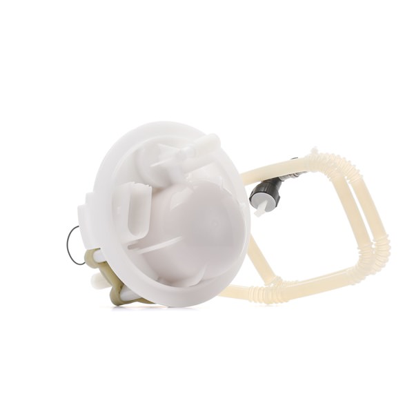 PORSCHE RIDEX Fuel Filter 9F0481