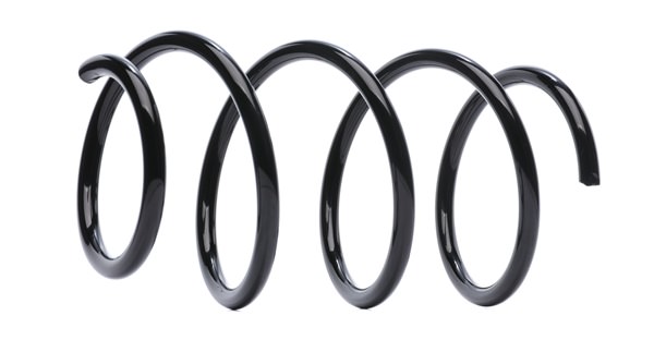 RIDEX 188C0947 Fjedre BMW E60 525d 3.0 197 HK M57 D30 (306D3)