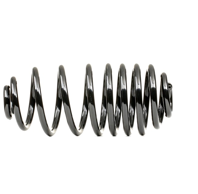 RIDEX 188C1399 Molas de suspensão Renault Kangoo Express FW 1.5 dCi 90 (FW0G, FW05, FW08, FW11) 90 cv K9K 628