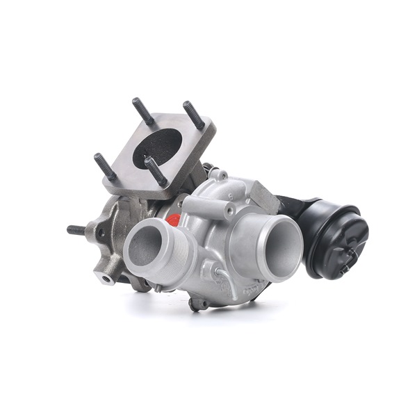 RIDEX REMAN 2234C0088R Filtro de partículas 1.4 LPG (356HXF1B) 120 cv 940 B7.000
