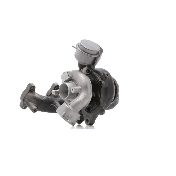 RIDEX REMAN 2234C0079R Turbo VW Caddy 3 1.9 TDI 4motion 105 cv BLS