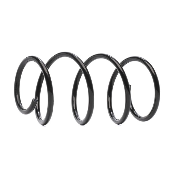 RIDEX 188C1507 Fjedre BMW E39 523 i 170 HK M52 B25 (256S4)