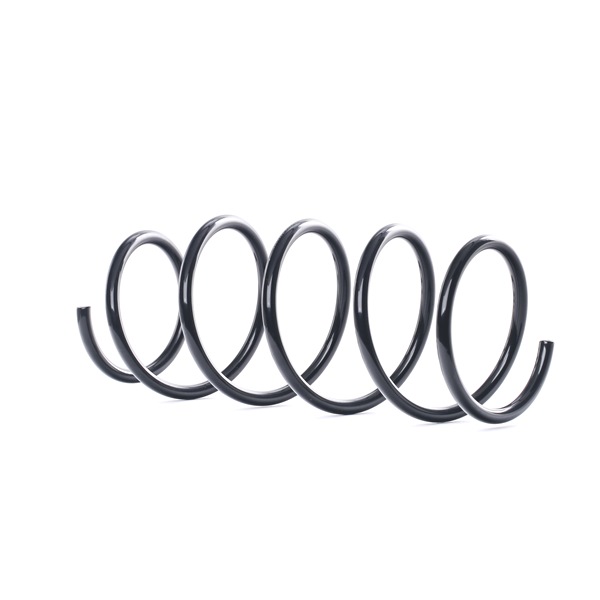 STARK SKCS-0041596 Jousi Renault Clio 2 1.6 Hi-Flex 117 hv K4M 748