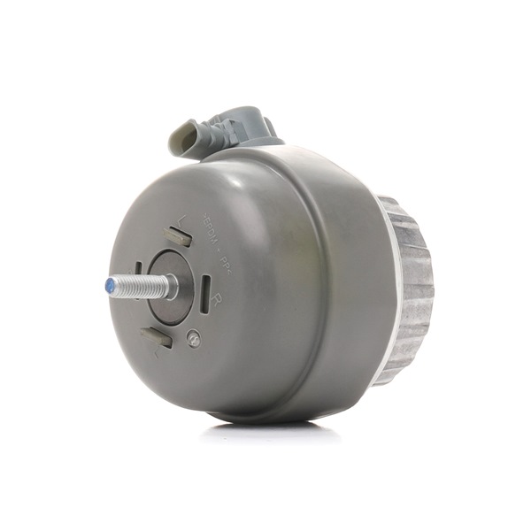 RIDEX 247E0393 Motorlager Audi A6 C6 3.0 TDI quattro 240 PS CDYC