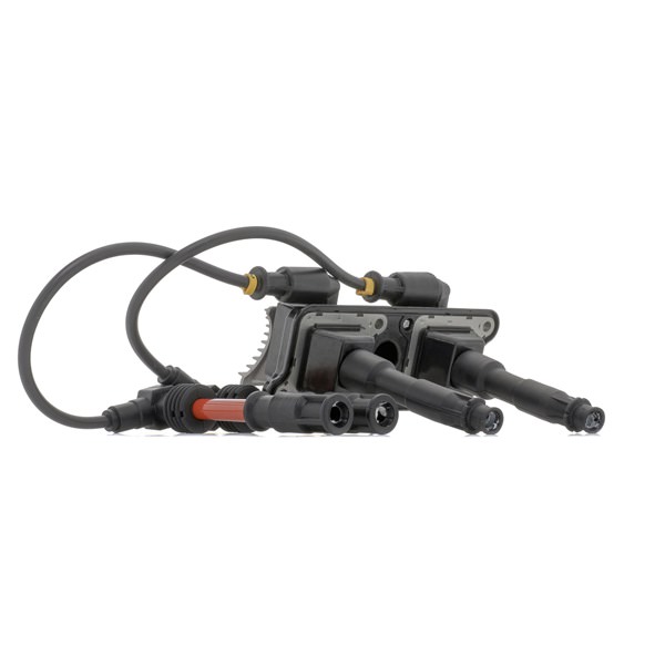 RIDEX 689C0363 Zündspule Passat 3B5 1.8 115 PS AFY