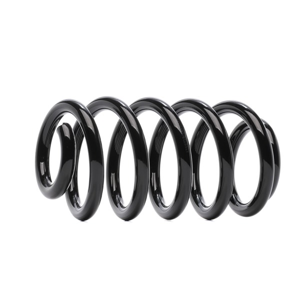 RIDEX 188C1688 Jousi Audi A4 8h 3.0 218 hv BBJ