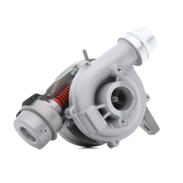 RIDEX 2234C0210 Forreste lydpotte 1.5 dCi 110 HK K9K