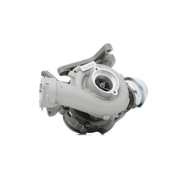 RIDEX 2234C0229 Turbo VW Multivan T5 1.9 TDI 105 cv AXB