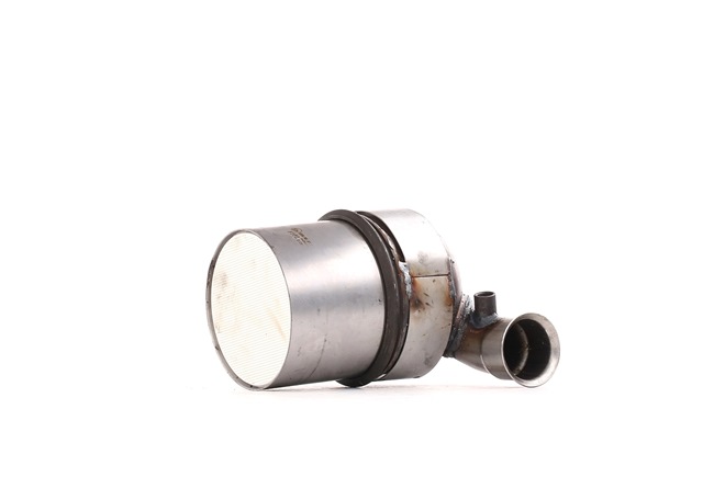 RIDEX 1256S0155 Filtru de particule DS DS 5 Hatchback 1.6 BlueHDi 115 116 CP BHX (DV6C)