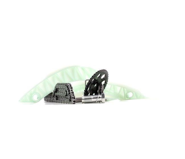 DS RIDEX Lant distributie 1389T0045