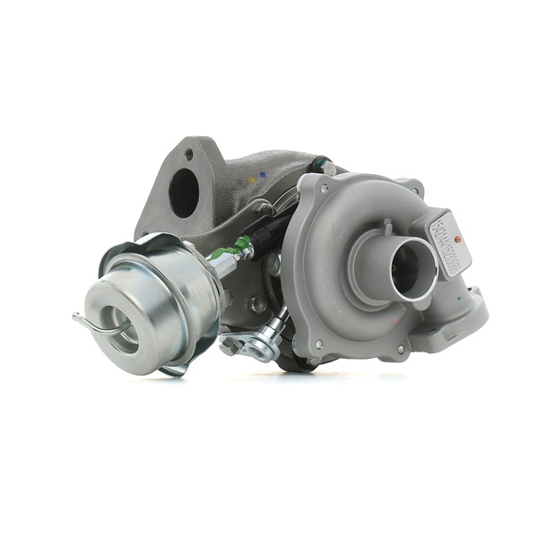 RIDEX 2234C0313 Turbo Fiat Strada 178E 1.3 D Multijet 85 cv 223 A9.000