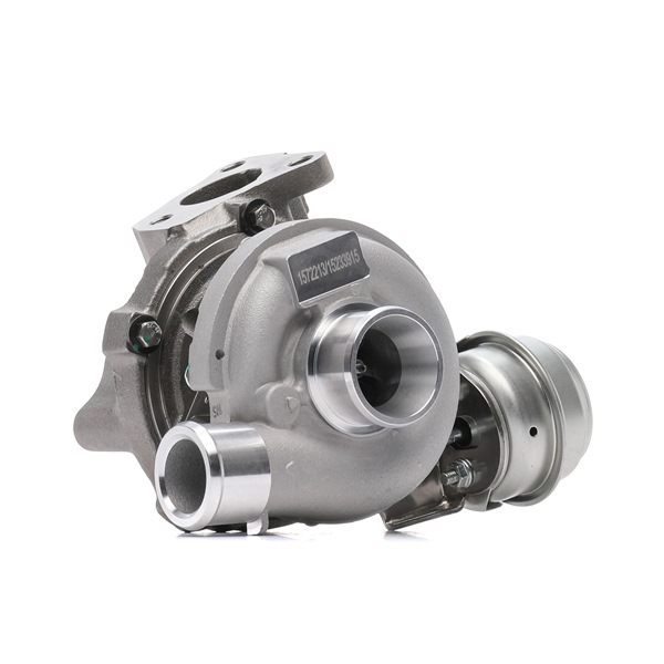 RIDEX 2234C0315 Filtru de particule 1.7 CRDi 116 CP D4FD