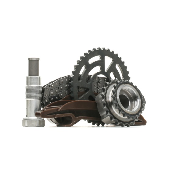 RIDEX 1389T0143 Timing chain BMW F30 320 d xDrive 184 hp N47 D20 C