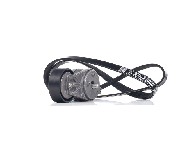 DAYCO KPV385 Corrente de distribuição 1.4 LPG (356HXF1B) 120 cv 940 B7.000