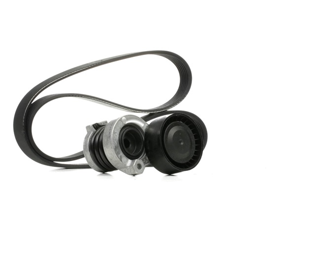 DAYCO KPV386 Kit de courroie d'accessoire Dacia Logan LS 1.5 dCi 86CV 2009
