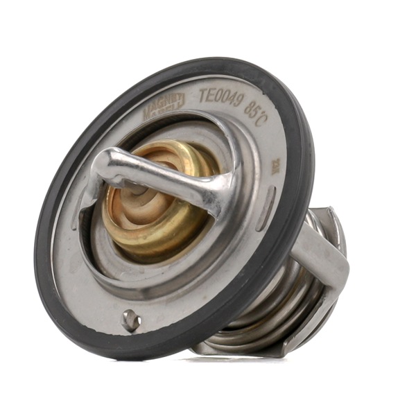 MAGNETI MARELLI 352317100490 Lüfterkupplung 1.5 TD (F08, F68, M68) 67 PS 15 DT
