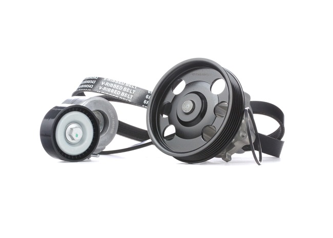 RIDEX 4172P0009 Kit de courroie d'accessoire Lancia Ypsilon 843 1.3 D Multijet (843.AXF11, 843.AXF1A, 843.AXM11,... 75CV 2010