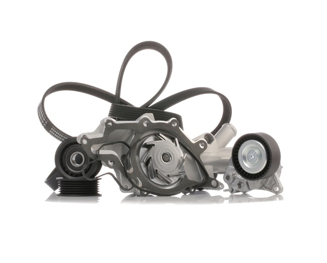 RIDEX 4172P0013 Keilrippenriemensatz Mercedes Sprinter 3,5t Bus 311 CDI 2.1 4x4 (906.731, 906.733, 906.735) 109PS 2009