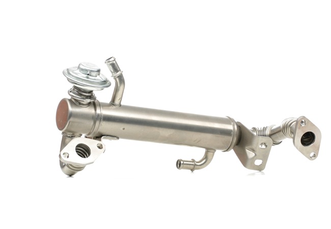 STARK SKEGR-0770249 Válvula egr Iveco Daily 4 2.3 29L14 C, 29L14 C/P, 29L14 V, 29L14 V/P 136 cv F1AE0481H