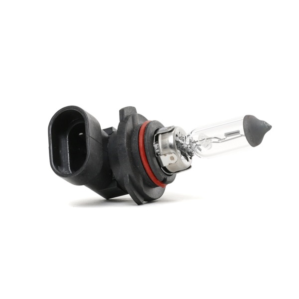 HELLA 8GH 242 632-201 Gloeilamp mistlicht Passat B6 Variant 3.6 FSI 4motion 280 Pk BLV