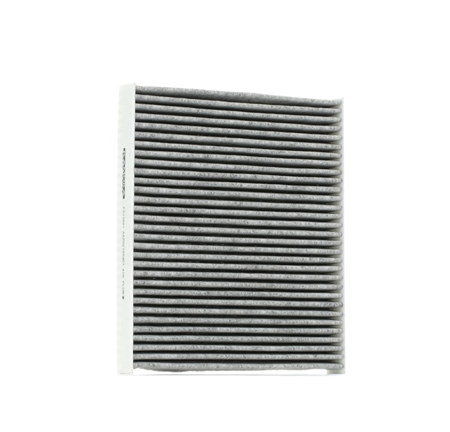 Comparare F513601 Filtro antipolline Filtro aria fresca, Filtro al carbone attivo da KAMOKA 2Q0819644, 2Q0819653 a buon mercato