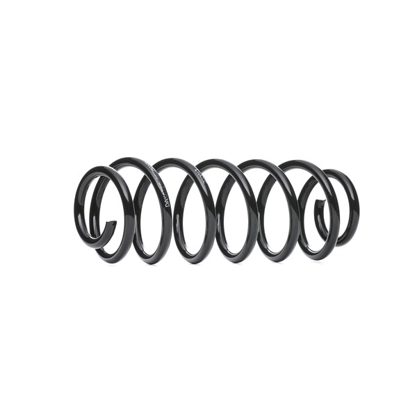 300013 DAKAtec Fahrwerksfeder Hinterachse