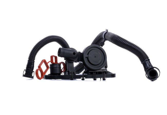 RIDEX 3886V0038 Ventil, vevhusventilation Audi A4 8h 2.0 TFSI 16V 200 hk
