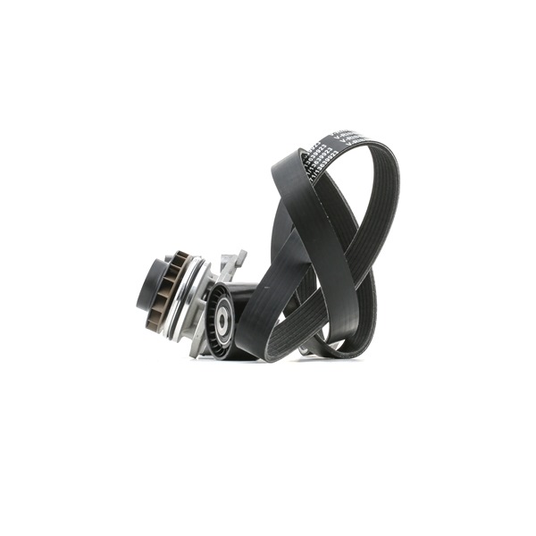 RIDEX 4172P0018 Kit de distribution + pompe à eau 2.3 dCi 170 FWD (FV0L) 170CV 2021