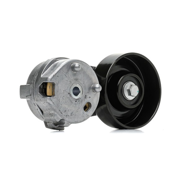 LAND ROVER RIDEX Feszítőgörgő hosszbordás szíj 310T0341