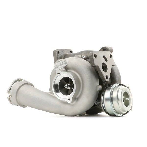 RIDEX 2234C0362 Turbo VW Multivan T5 2.5 TDI 174 cv BPC