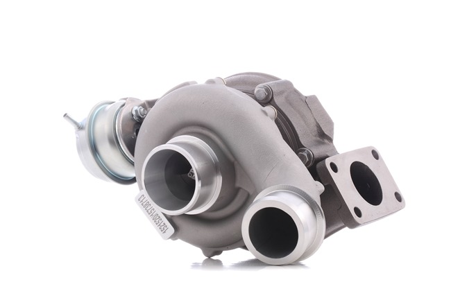 RIDEX 2234C0364 Turbo Passat 3B6 2.5 TDI 163 Pk BDG