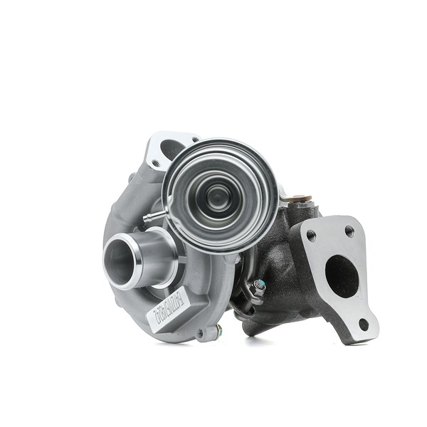 RIDEX 2234C0376 Turbocompresor Lancia Ypsilon 843 1.3 D Multijet (843.AXF11, 843.AXF1A, 843.AXM11,... 75 CV