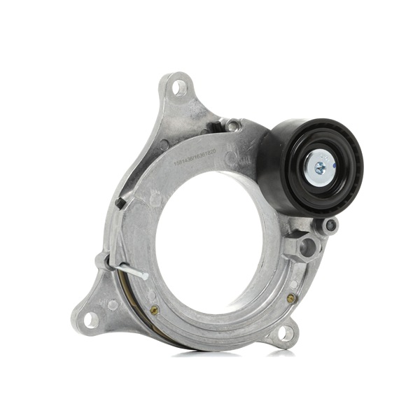 RIDEX 249M0006 Supporto cambio Audi A4 B8 Avant 2.0 TDI quattro 177 CV CGLC