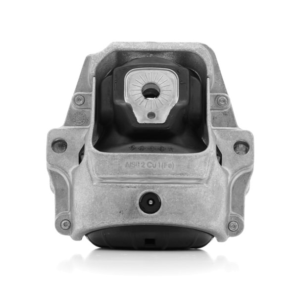 RIDEX 247E0445 Supporto motore Audi A4 B8 Avant 2.0 TDI quattro 150 CV CSUA
